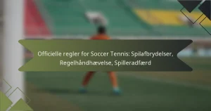 Officielle regler for Soccer Tennis: Spilafbrydelser, Regelhåndhævelse, Spilleradfærd