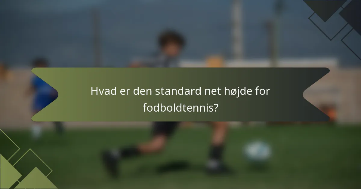 Hvad er den standard net højde for fodboldtennis?